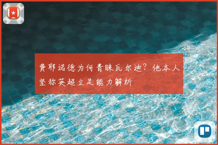 费耶诺德为何青睐瓦尔迪？他本人坚称英超立足能力解析